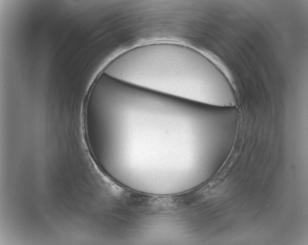 X0000076221006200609280916