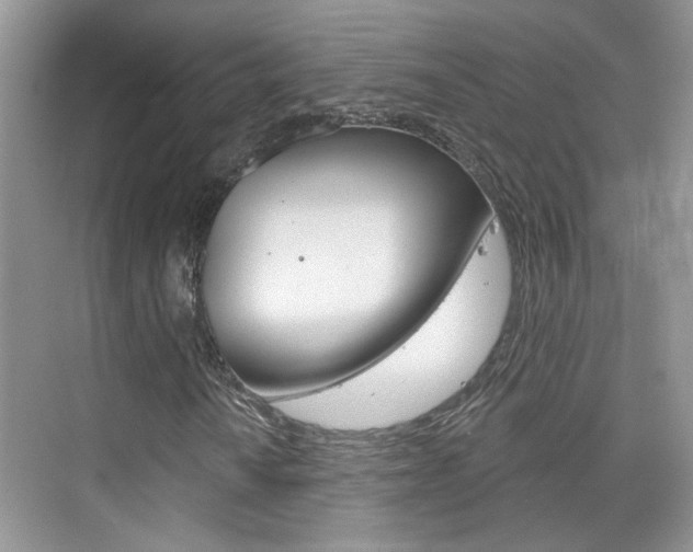 X0000076221010200609280916