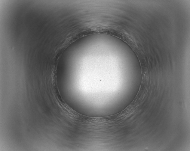 X0000076221012200609280916