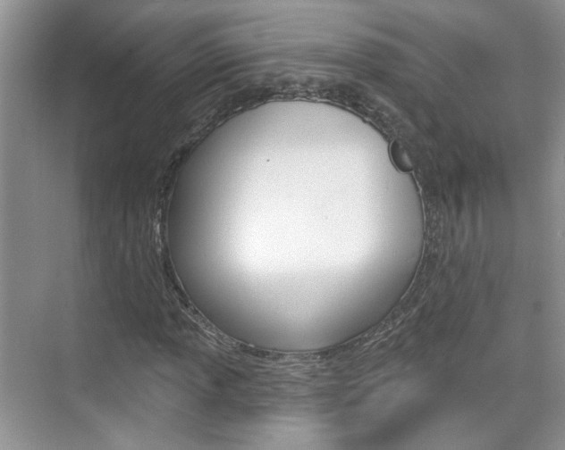 X0000076221013200609280916