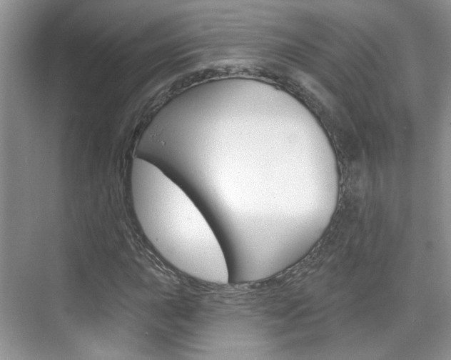 X0000076221015200609280916