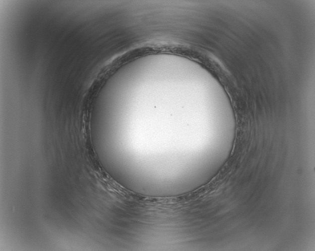 X0000076221016200609280916