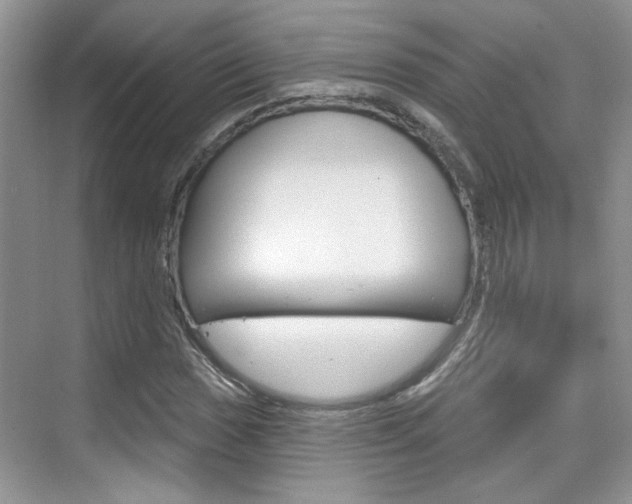 X0000076221017200609280916