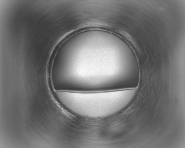 X0000076221024200609280916