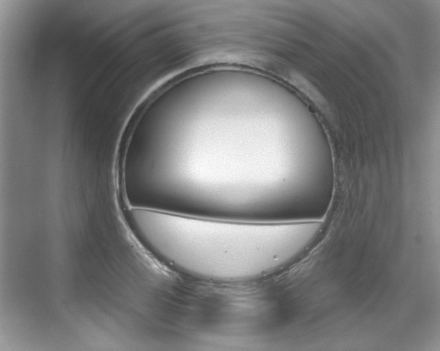 X0000076221028200609280916