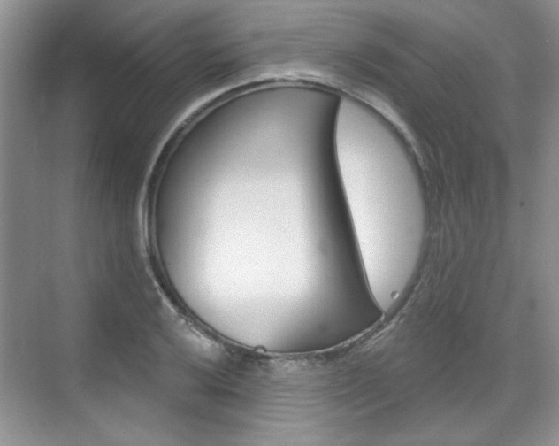X0000076221032200609280916