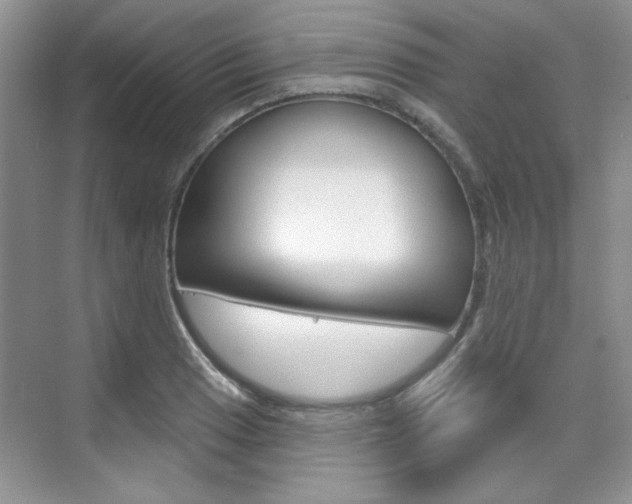 X0000076221033200609280916