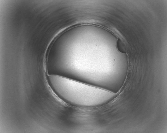 X0000076221036200609280916