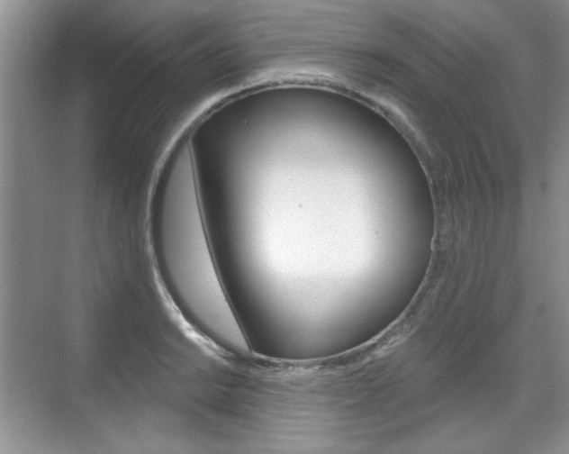 X0000076221038200609280916