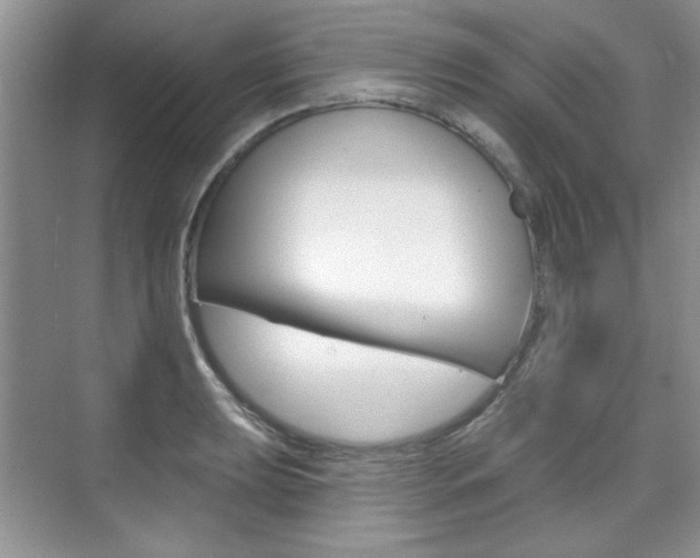 X0000076221039200609280916