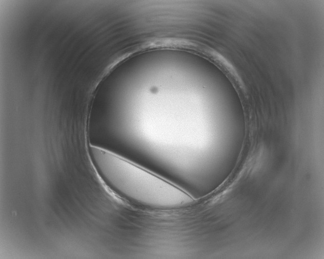 X0000076221041200609280916