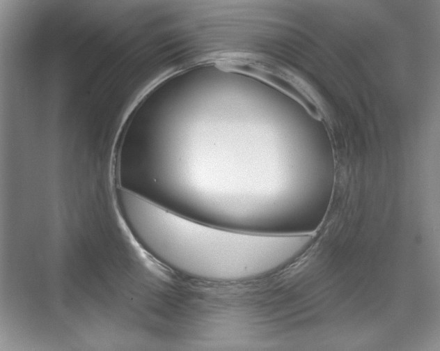 X0000076221050200609280916
