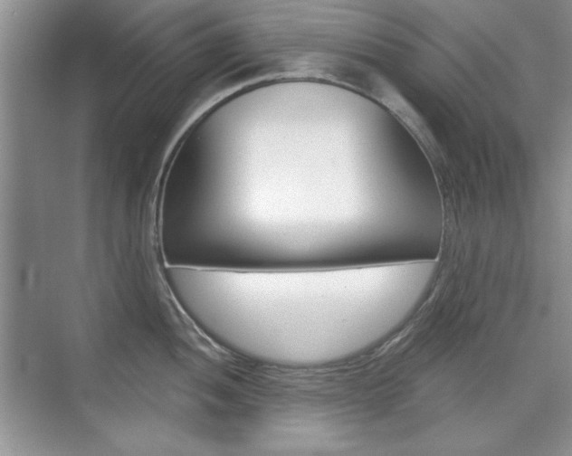 X0000076221052200609280916
