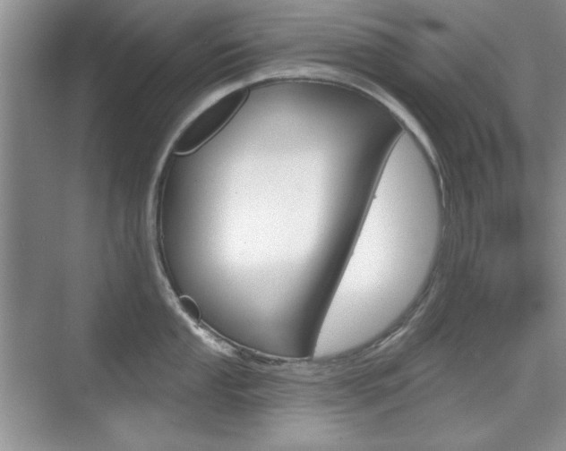 X0000076221053200609280916