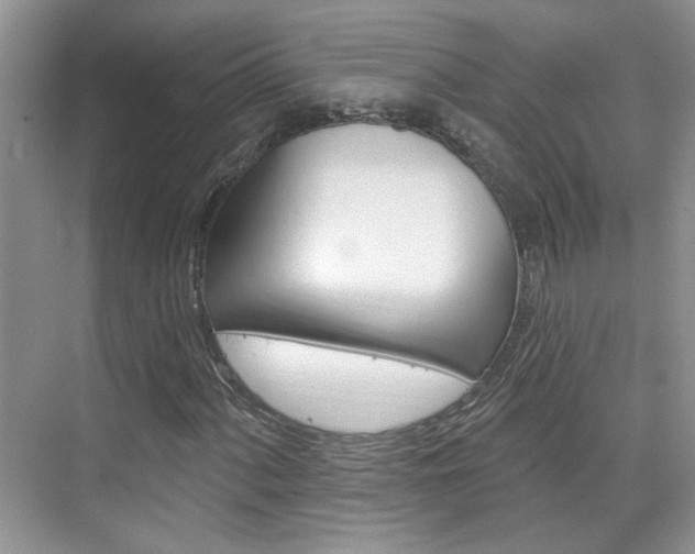 X0000076221060200609280916