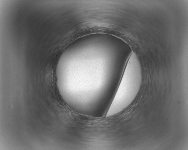 X0000076221061200609280916