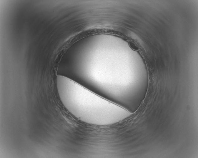 X0000076221064200609280916