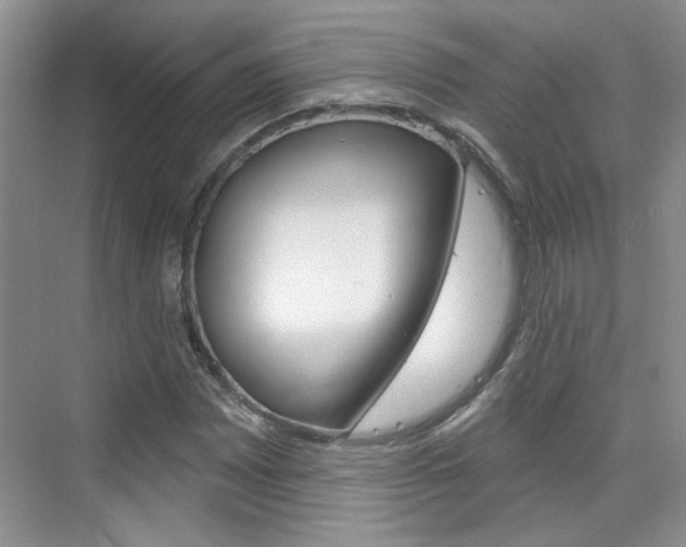 X0000076221065200609280915