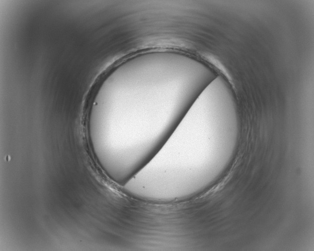 X0000076221071200609280915