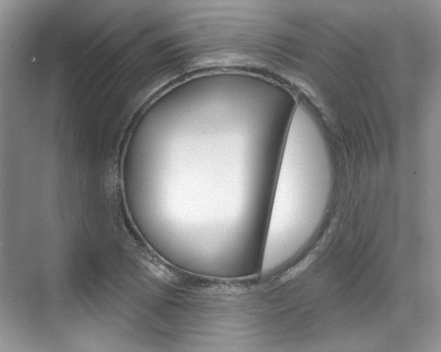 X0000076221073200609280915