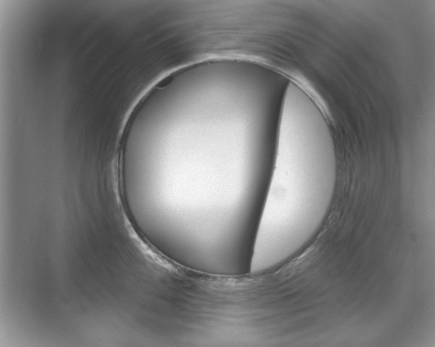 X0000076221100200609280915