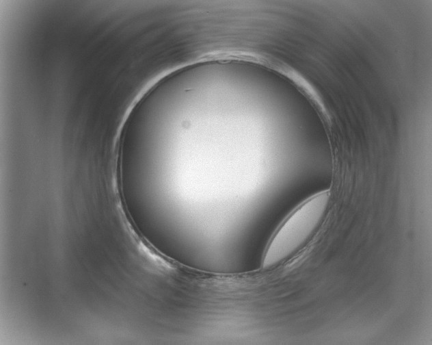 X0000076221102200609280915