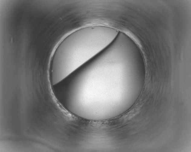 X0000076221104200609280915