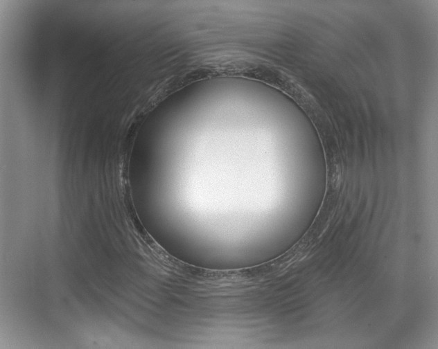 X0000076221108200609280914
