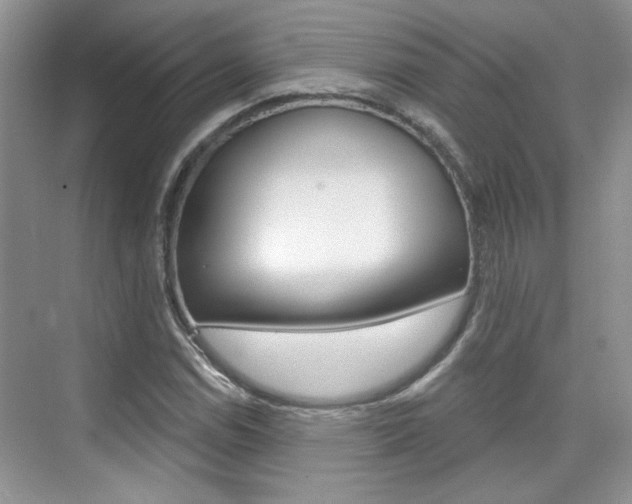X0000076221114200609280914