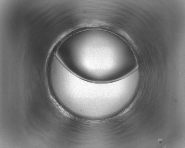 X0000076221122200609280914