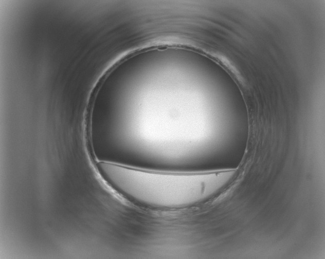 X0000076221134200609280915