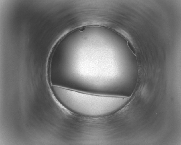X0000076221135200609280915