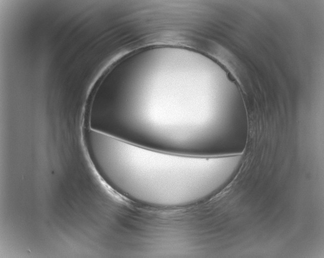 X0000076221139200609280915