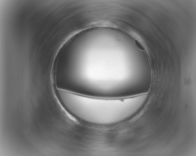 X0000076221141200609280915