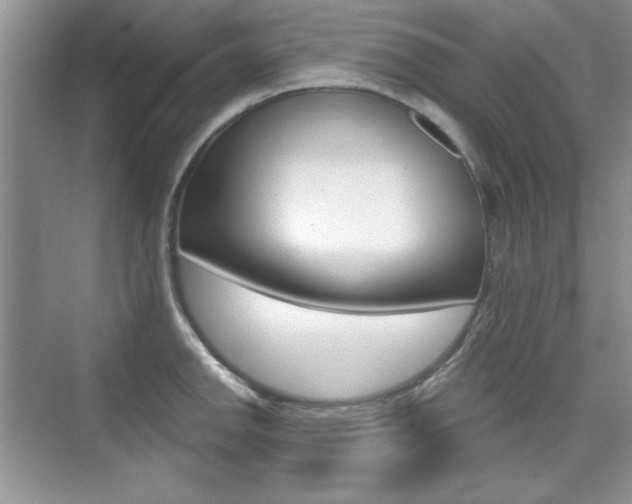 X0000076221142200609280915