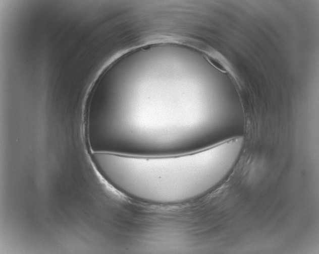 X0000076221143200609280915