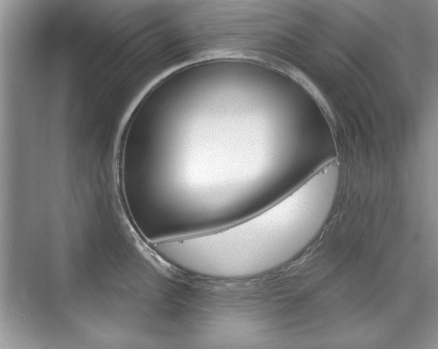 X0000076221148200609280915