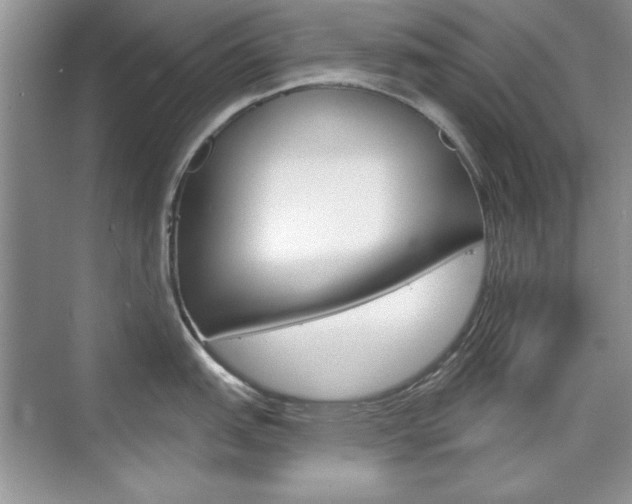 X0000076221151200609280915