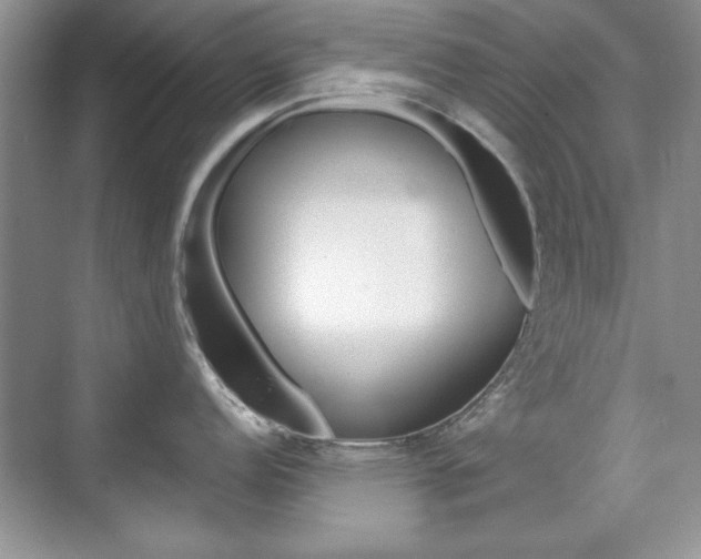 X0000076221152200609280915