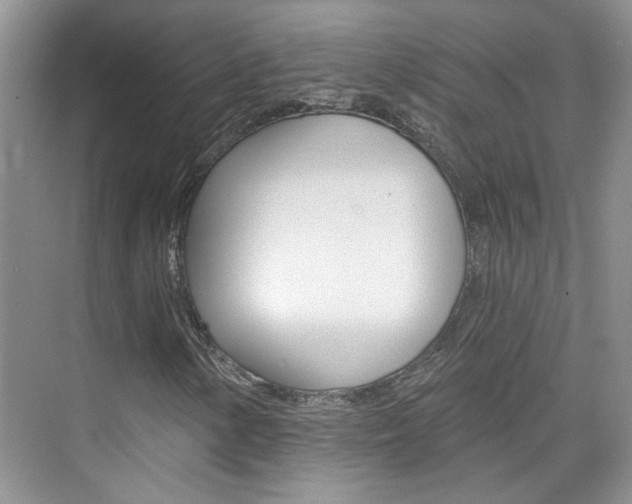 X0000076221154200609280914