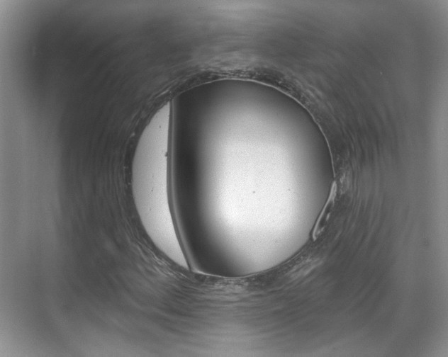 X0000076221156200609280914