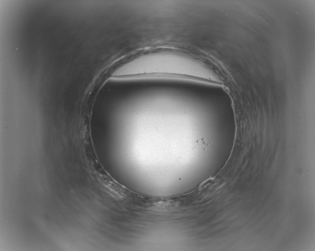 X0000076221160200609280914