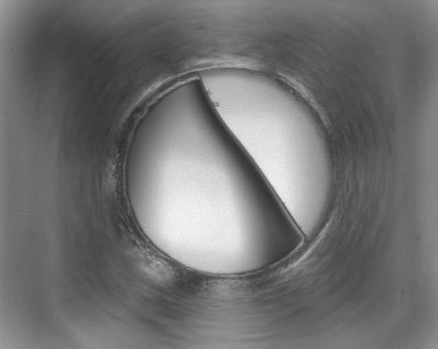 X0000076221163200609280914