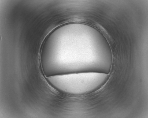 X0000076221178200609280914