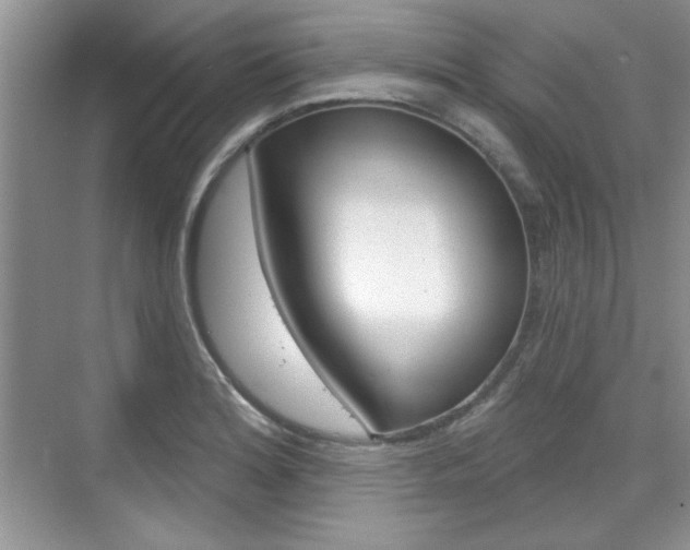 X0000076221180200609280914