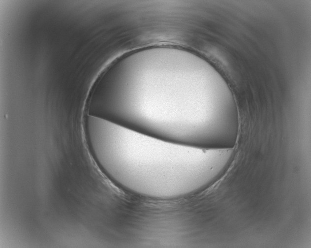 X0000076221182200609280914