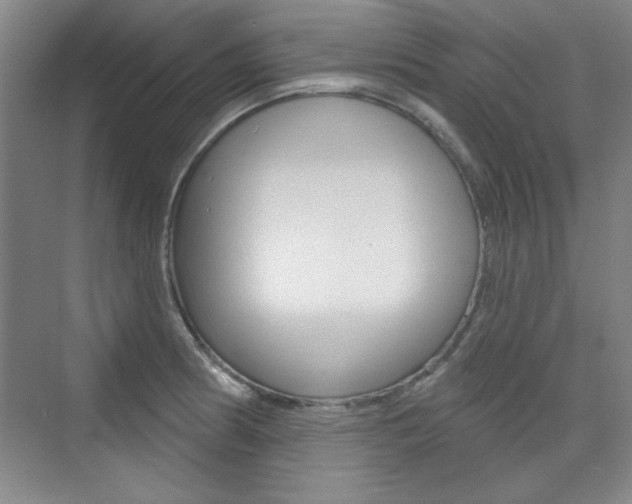 X0000076221186200609280913