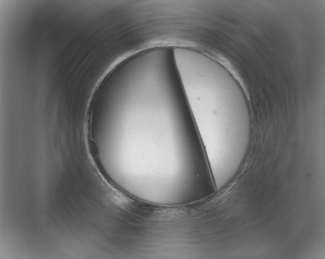 X0000076221187200609280913
