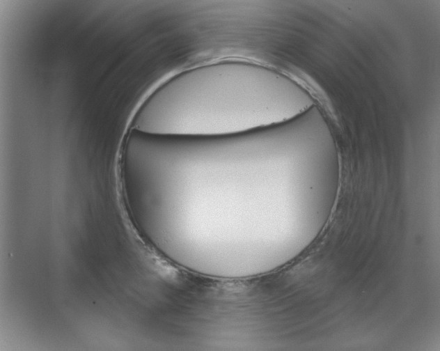 X0000076221190200609280913