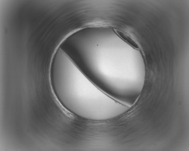 X0000076221195200609280913